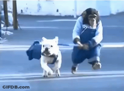 Man And Dog Running Across Street GIF