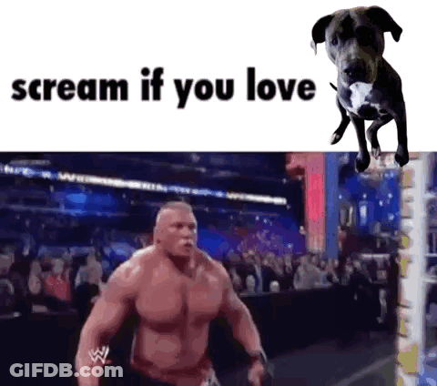 Man And Dog Scream If You Love GIF