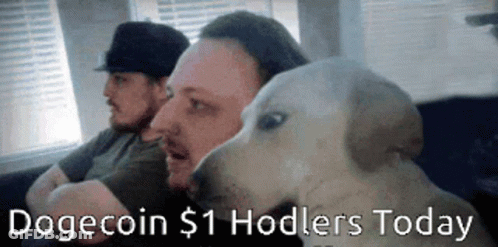 Man And Dog Sitting On Couch GIF