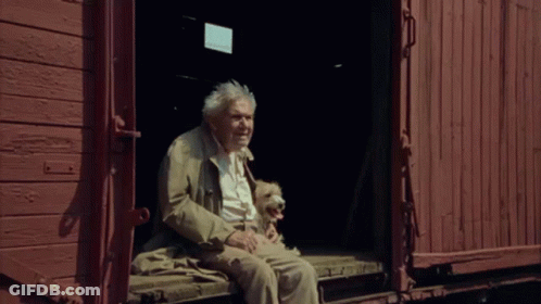 Man And Dog Sitting On Train Car Steps GIF