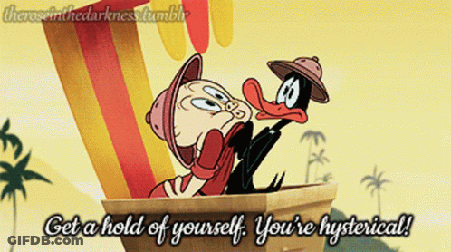 Man And Duck Get A Hold Of Yourself You're Hysterical GIF