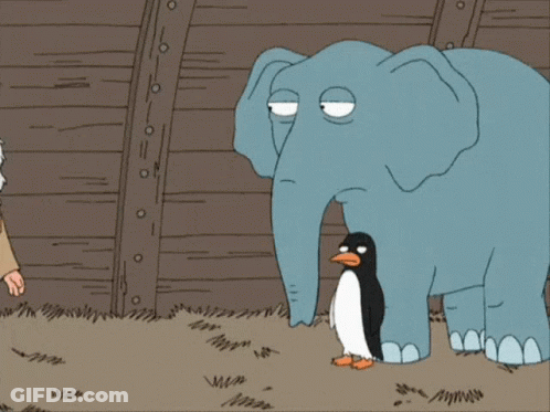 Man And Elephant And Penguin Saying What The Hell GIF