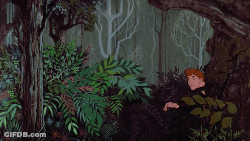 Man And Horse In Woods GIF