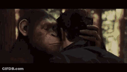 Man And Monkey Looking At Each Other In Dark Room GIF