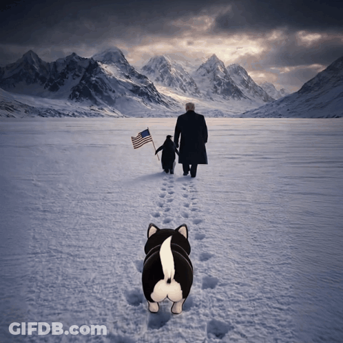 Man And Penguin Walking In Snow With American Flag GIF