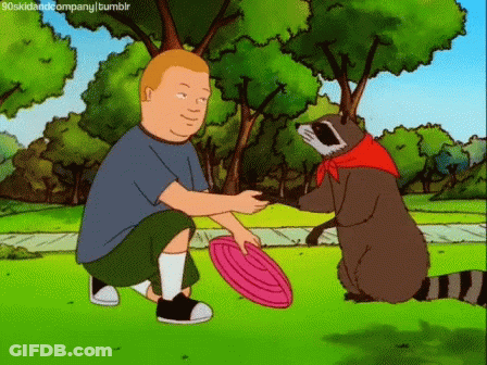 Man And Raccoon Playing Frisbee GIF