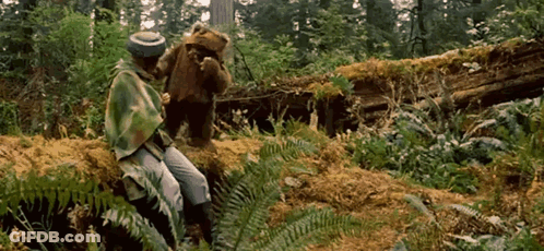 Man And Teddy Bear Sitting On Log GIF