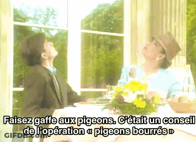 Man And Woman At Table With Flowers Saying Pigeons Bourres GIF