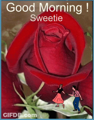Man And Woman Dancing In Front Of Red Rose Saying Good Morning Sweetie GIF