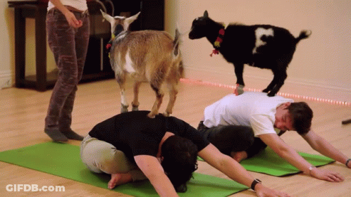 Man And Woman Doing Push Ups GIF