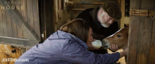 Man And Woman Feeding Horse From Bottle GIF