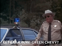 Man And Woman In Front Of Car And Police Officer GIF