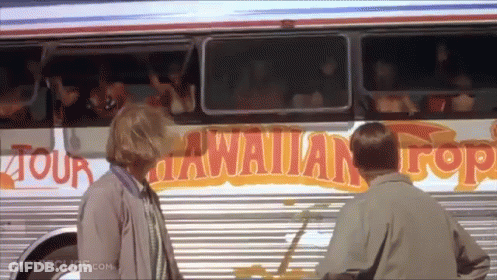 Man And Woman In Front Of Hawaiian Top Bus GIF