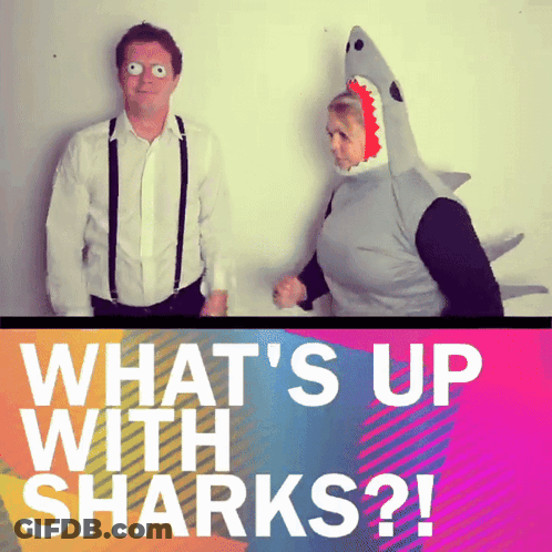 Man And Woman In Shark Costumes What's Up With Sharks GIF