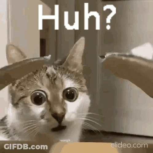 Man And Woman Kissing In Front Of Party Hat GIF
