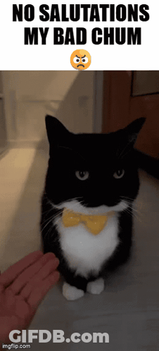 Man And Woman Kissing On Cheek GIF