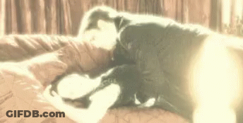 Man And Woman Laying On Bed GIF