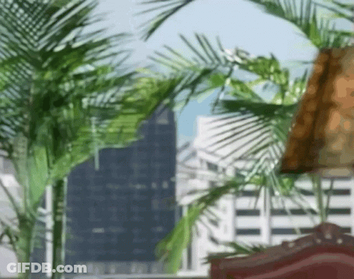 Man And Woman Looking At Each Other Black And White GIF