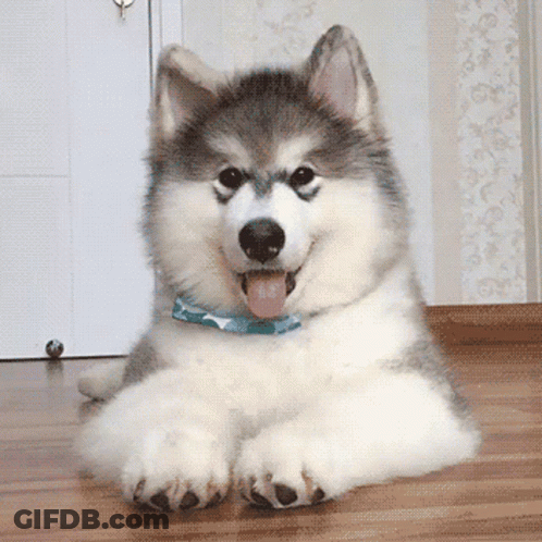 Man And Woman Looking At Each Other Saying There's No Need For Me To Ever Doubt You GIF
