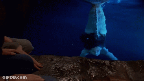 Man And Woman Looking At Mermaid In Water GIF