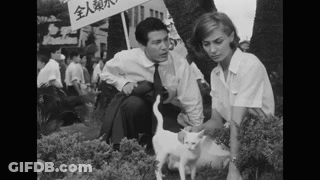 Man And Woman Looking At Small White Cat GIF