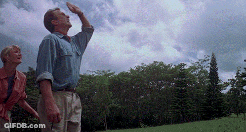 Man And Woman Looking Up At Sky GIF