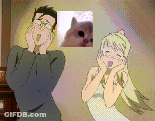 Man And Woman Next To Cat Picture GIF