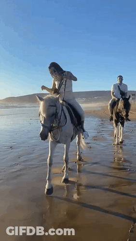 Man And Woman Riding Horses On Beach GIF