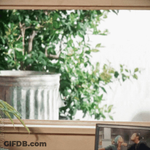 Man And Woman Sitting By Potted Plant Named David GIF