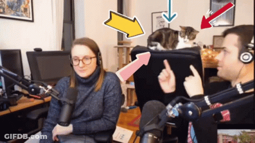 Man And Woman Sitting With Cat In Front Of Microphone GIF