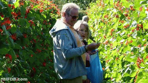Man And Woman Standing In Front Of Bush With Red Berries GIF