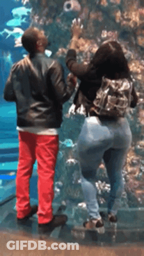 Man And Woman Standing In Front Of Large Aquarium GIF