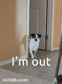 Man And Woman Standing In Park GIF