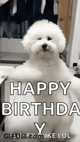 Man And Woman Standing Together Smiling GIF