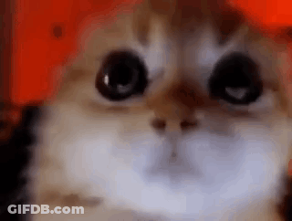 Man And Woman Talking GIF