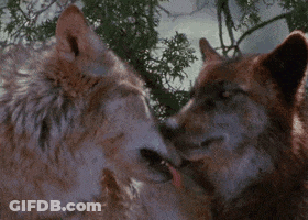 Man And Woman Talking On Couch GIF