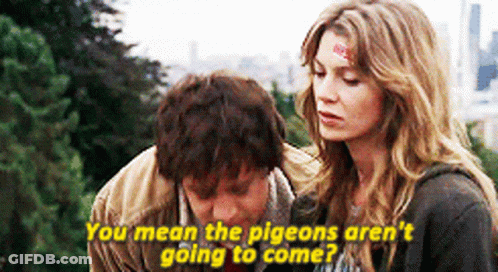 Man And Woman Talking Woman Says You Mean The Pigeons Aren't Going To Come GIF