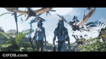 Man And Woman Walking In Jungle With Birds GIF