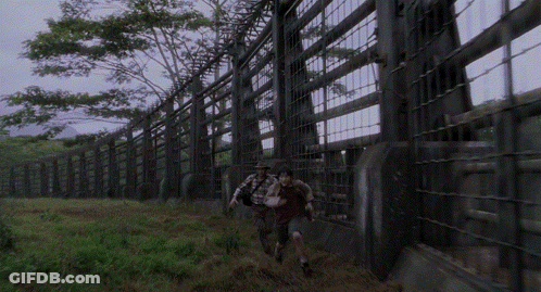 Man And Woman Walking Through Fenced Area With Trees GIF