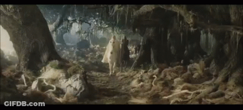 Man And Woman Walking Through Forest GIF
