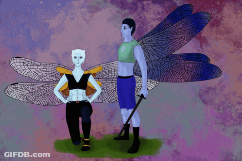 Man And Woman With Dragonfly Wings GIF