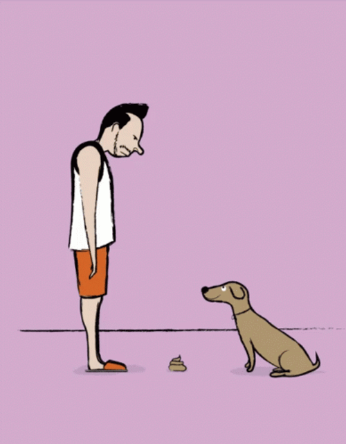 Man Angry At Dog Because Of Its Poop GIF