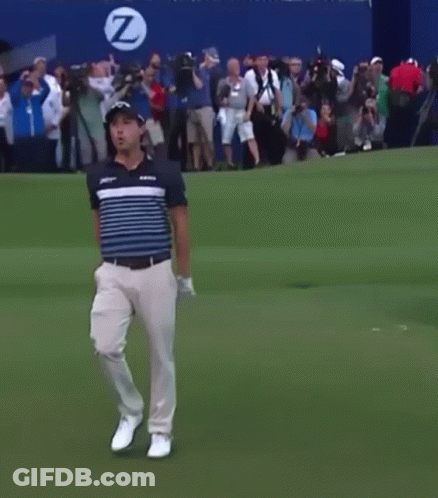 Man Arms Outstretched On Golf Course Crowd Watching GIF