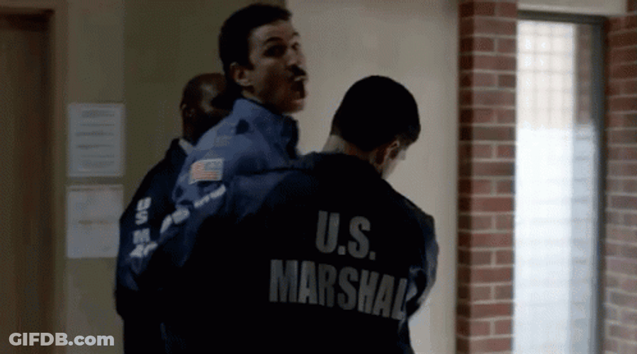 Man Arrested By Us Marshall GIF