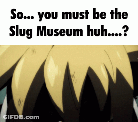 Man Asking About Slug Museum GIF