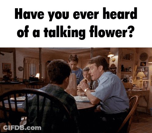 Man Asking Woman What Girl GIF