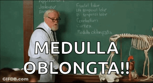 Man At Blackboard With Medulla Oblongata GIF