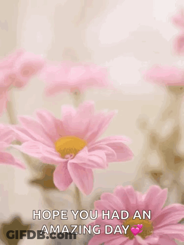 Man At Food Table Saying Funeral Food Be So Good GIF