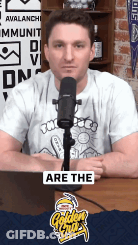Man At Microphone Are The Golden Nuggets GIF