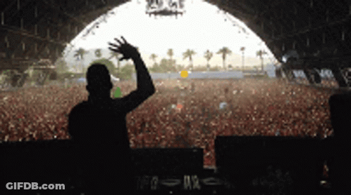 Man At Music Festival With Hand Up GIF
